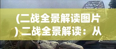 (二战全景解读图片) 二战全景解读：从战略决策到前线争霸，一窥全球冲突的深层影响与历史转折点